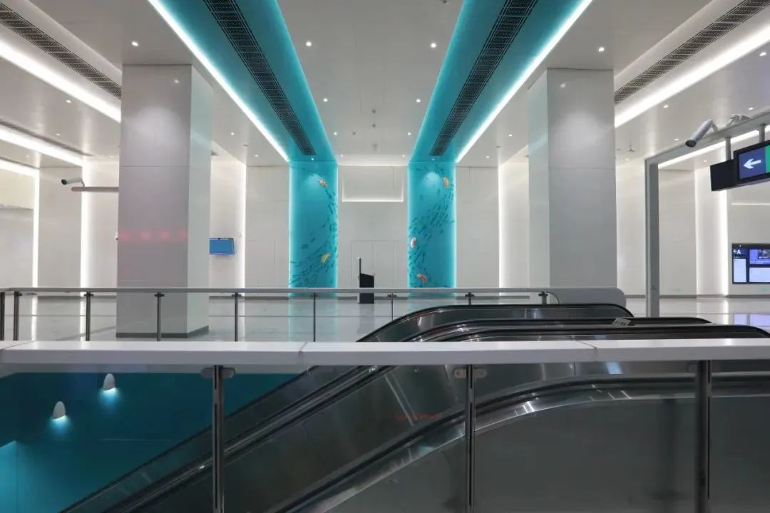 ob电竞·(中国游)电子竞技平台